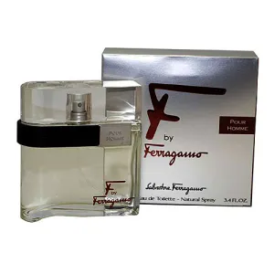 F by Ferragamo Pour Homme edt 100ml
