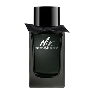 Mr. Burberry Eau de Parfum 100ml