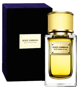 Velvet Mimosa Bloom edp 150ml
